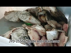 เครื่องเลื่อยสายพานแนวตั้งอัตโนมัติ 6 ใบมีด ตัดปลาแช่แข็ง พร้อมระบบควบคุมหน้าจอสัมผัส