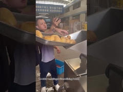 12 สถานีตัด เครื่องตัดชิปฝรั่งห่างศูนย์กลาง เครื่องตัดชิปฝรั่งฝรั่ง